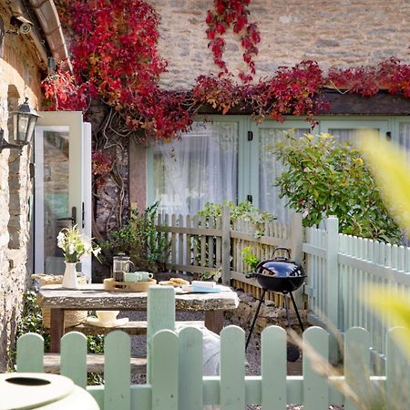 Daisy Cottage Paignton Extérieur photo