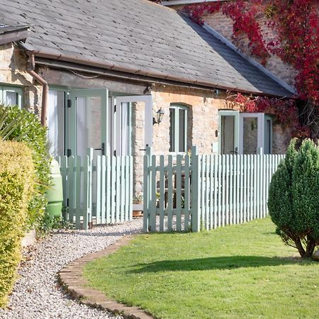 Daisy Cottage Paignton Extérieur photo