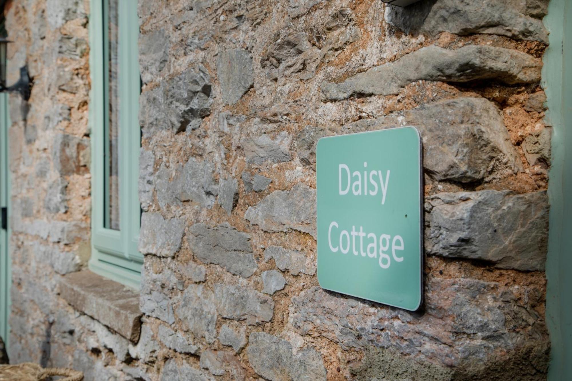 Daisy Cottage Paignton Extérieur photo